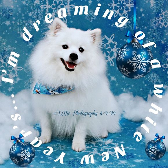 tlmckenty